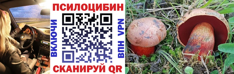 Псилоцибиновые грибы GOLDEN TEACHER сколько стоит Циолковский